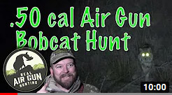 Bobcat Airgun Hunt with Umarex Hammer: Real Air Gun Hunting